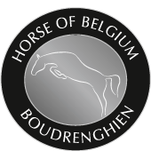 Horse of Belgium